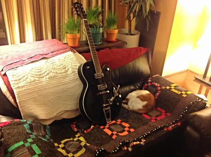 Picture of a cat / kitten / feline