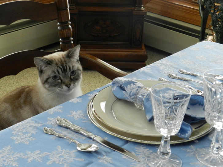 Picture of a cat / kitten / feline