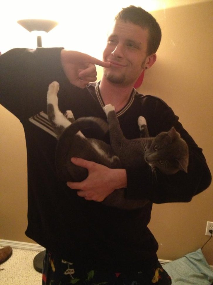 Picture of a cat / kitten / feline