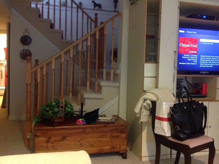 Picture of a cat / kitten / feline