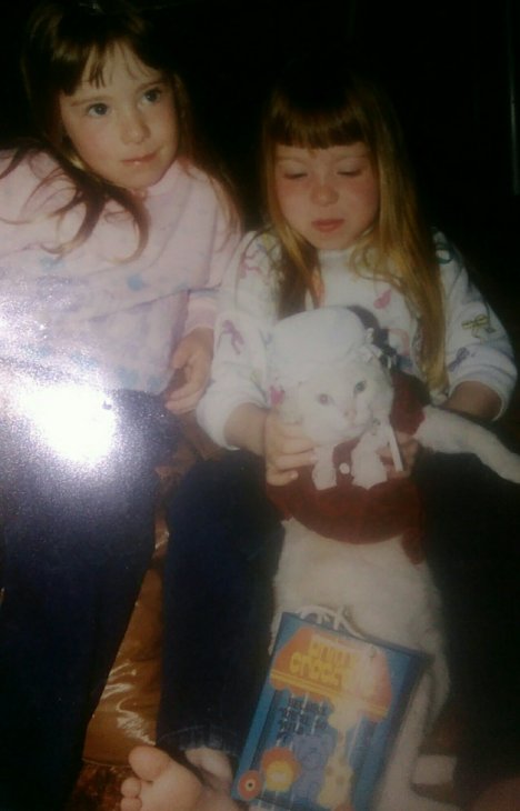 Picture of a cat / kitten / feline