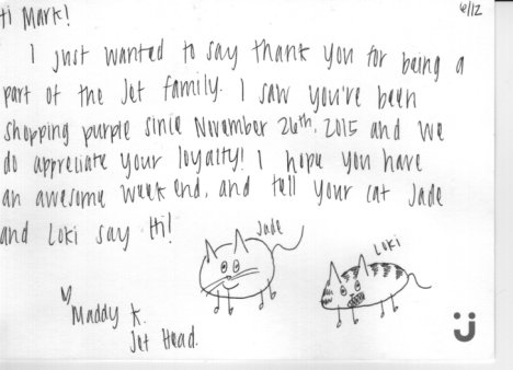 Picture of a cat / kitten / feline