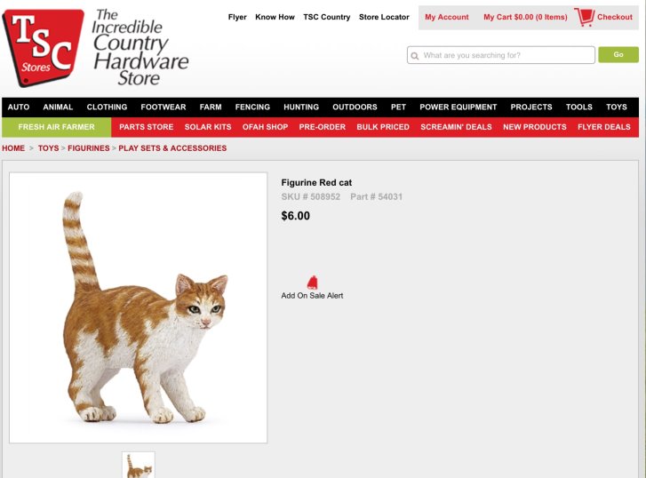 Picture of a cat / kitten / feline