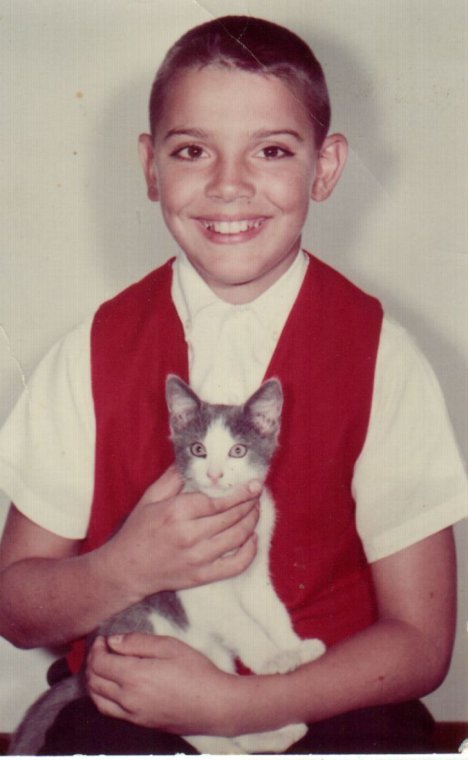 Picture of a cat / kitten / feline