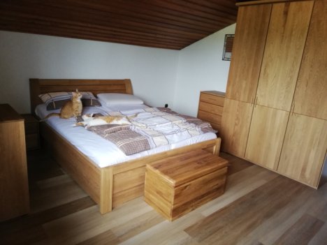 Picture of a cat / kitten / feline