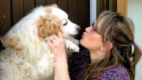 Picture of a cat / kitten / feline