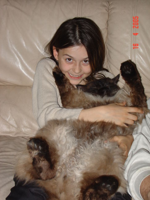 Picture of a cat / kitten / feline