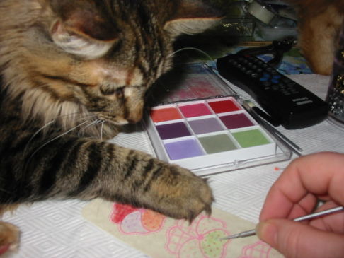 Picture of a cat / kitten / feline