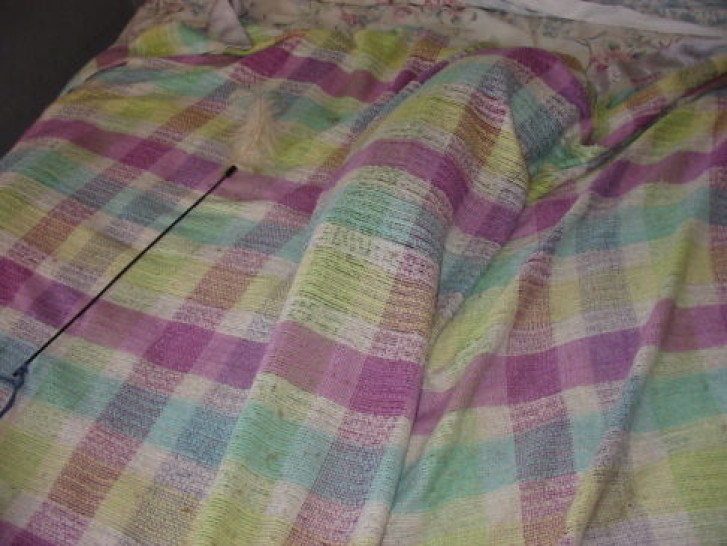 Picture of a cat / kitten / feline