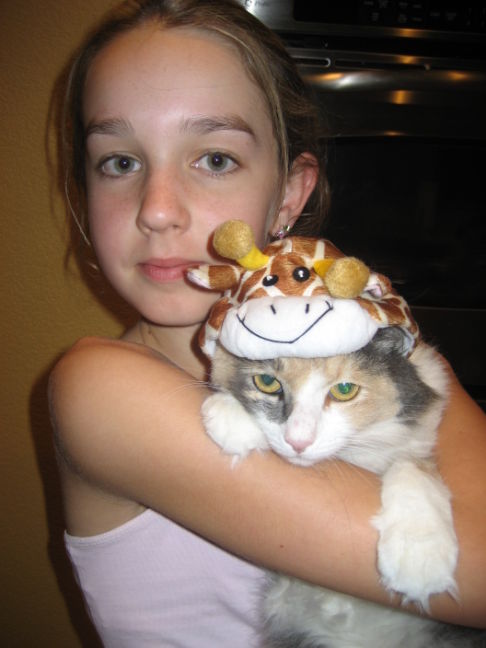 Picture of a cat / kitten / feline