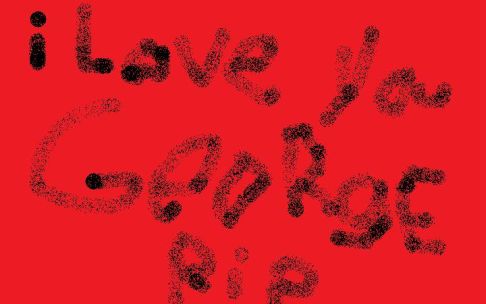 Picture of a cat / kitten / feline