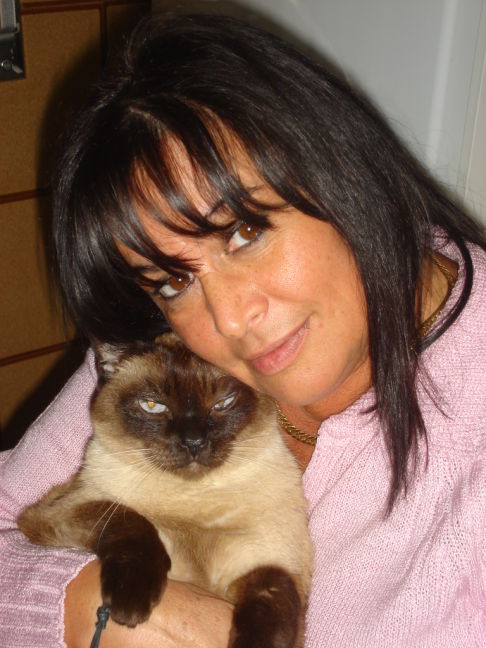 Picture of a cat / kitten / feline