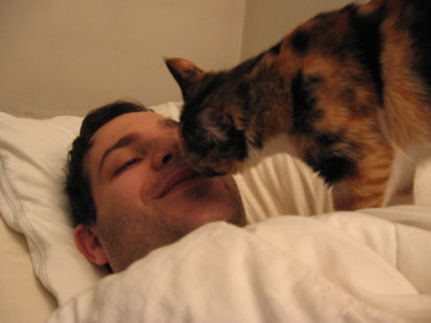 Picture of a cat / kitten / feline