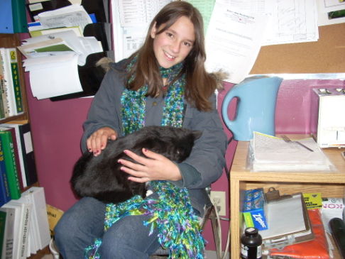 Picture of a cat / kitten / feline