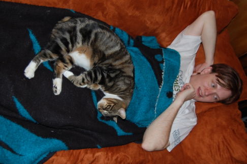 Picture of a cat / kitten / feline