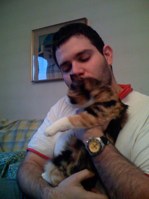 Picture of a cat / kitten / feline