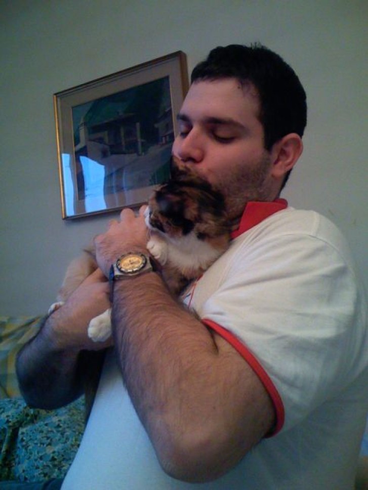 Picture of a cat / kitten / feline