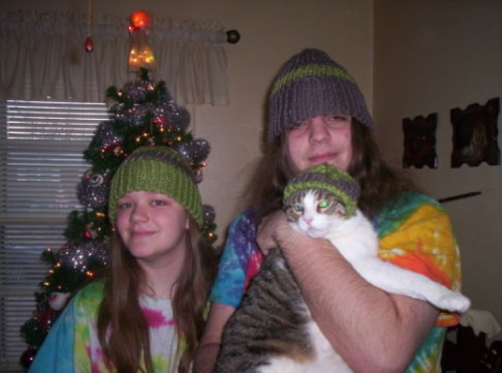 Picture of a cat / kitten / feline