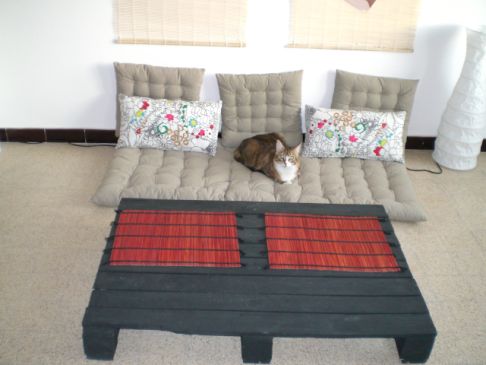 Picture of a cat / kitten / feline