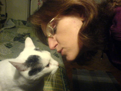 Picture of a cat / kitten / feline