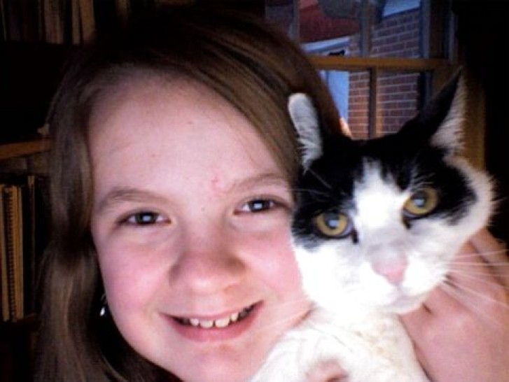 Picture of a cat / kitten / feline