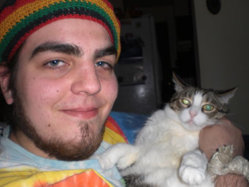 Picture of a cat / kitten / feline