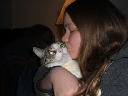 Picture of a cat / kitten / feline