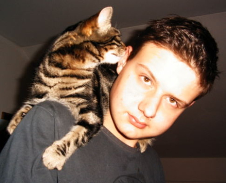 Picture of a cat / kitten / feline