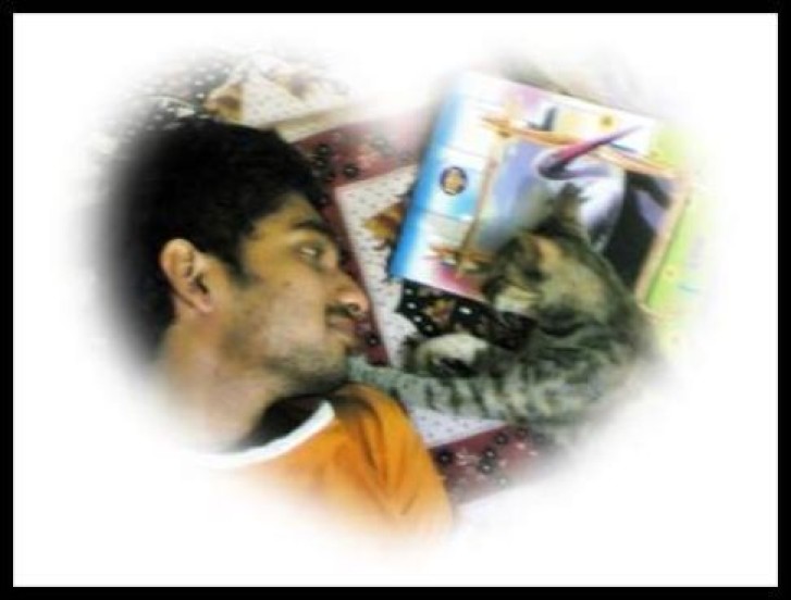 Picture of a cat / kitten / feline