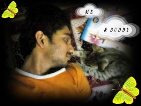 Picture of a cat / kitten / feline