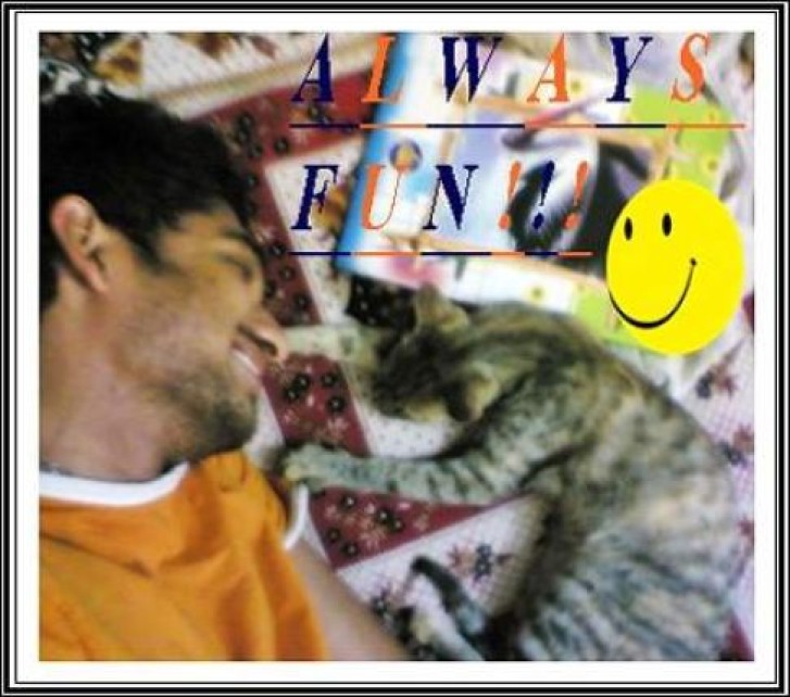 Picture of a cat / kitten / feline