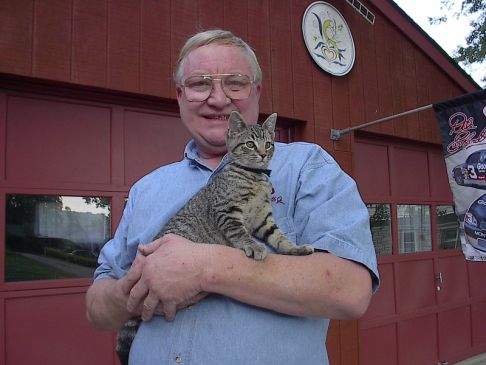 Picture of a cat / kitten / feline