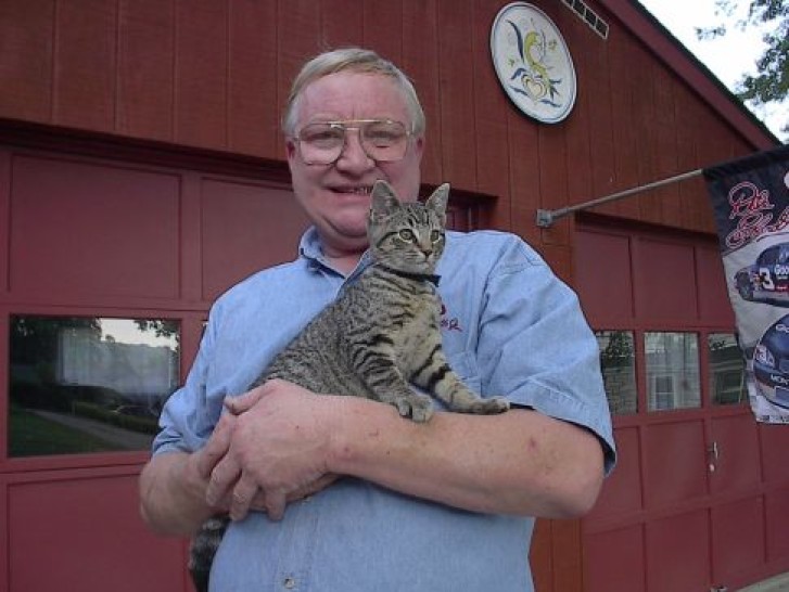 Picture of a cat / kitten / feline