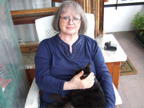 Picture of a cat / kitten / feline