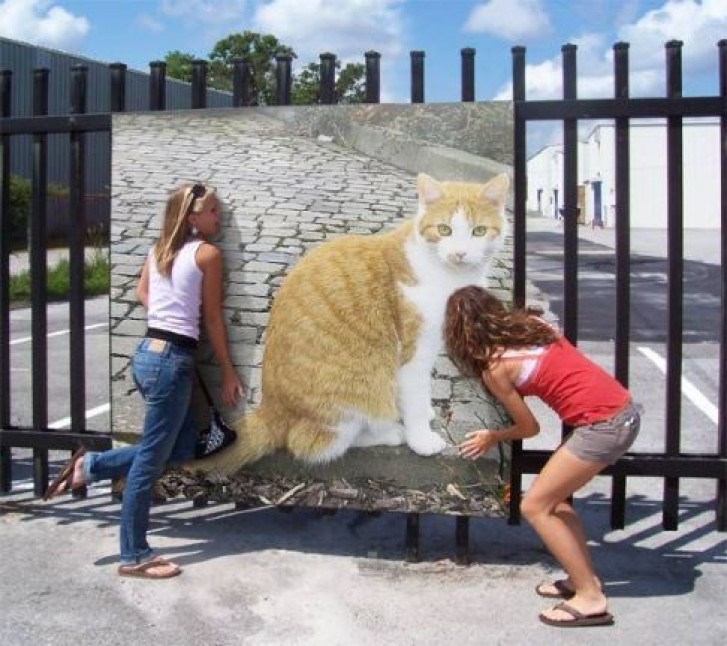 Picture of a cat / kitten / feline