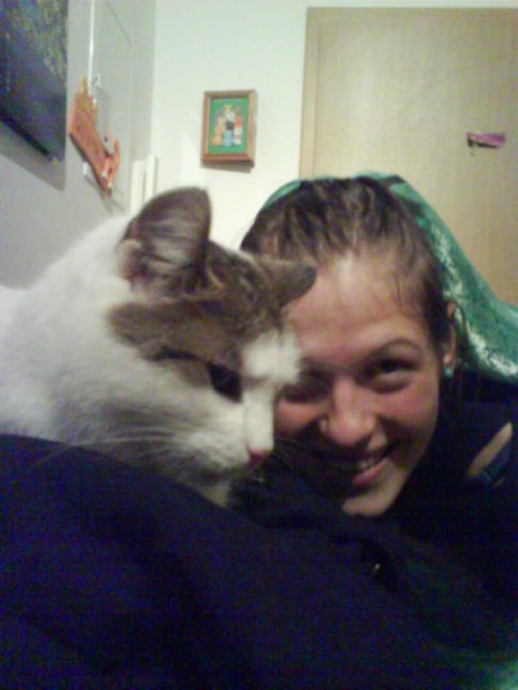 Picture of a cat / kitten / feline