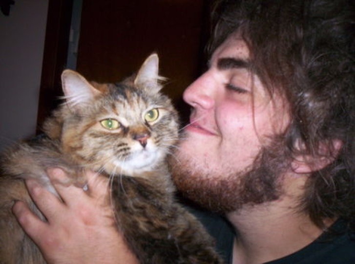 Picture of a cat / kitten / feline