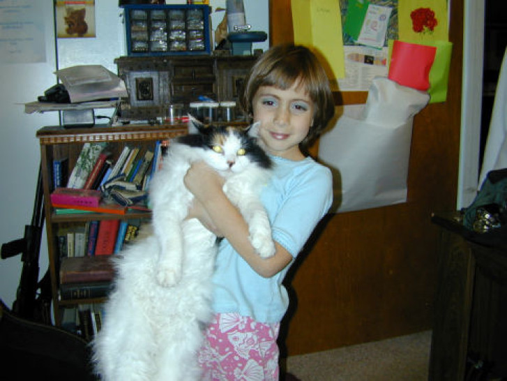 Picture of a cat / kitten / feline