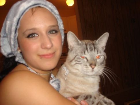 Picture of a cat / kitten / feline