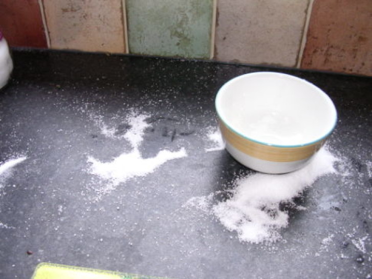 Picture of a cat / kitten / feline