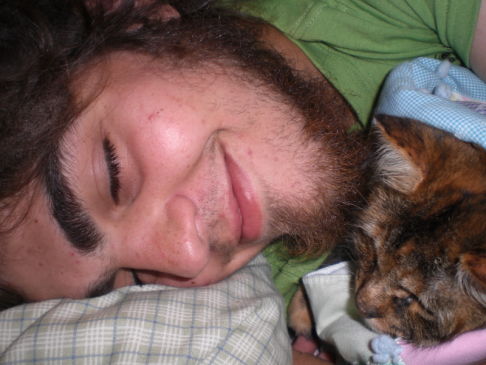 Picture of a cat / kitten / feline