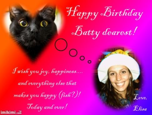 Picture of a cat / kitten / feline