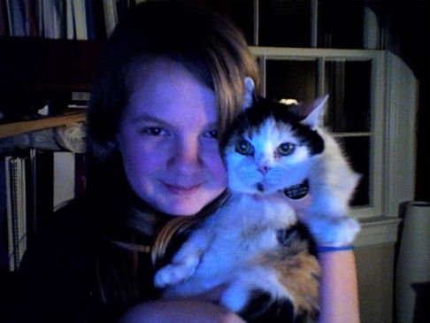 Picture of a cat / kitten / feline